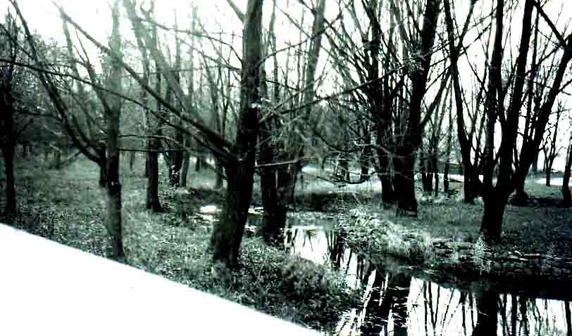 Knollwood dr 1920s (3)